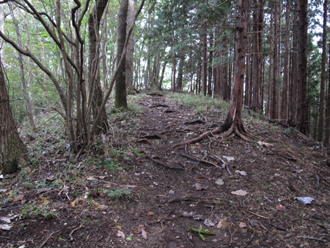 20181016hike (77)